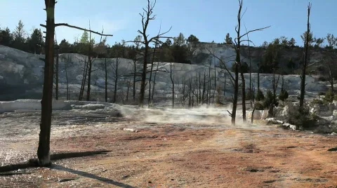 Hot Thermal Pool with Trees Stock-Footage 608597