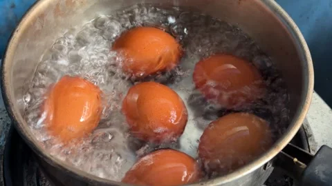 Hot water boiling eggs in heating pot close up Stock Footage 310287073