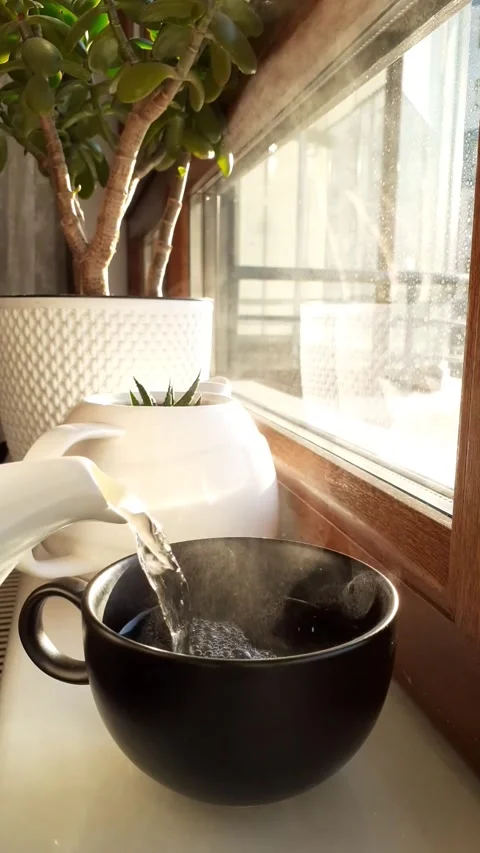 Hot Water: Freshly Served in Ceramic Cup Stock Footage 343551542