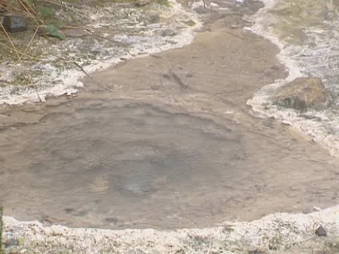 Hot water pool in forest Stock Footage 18007438