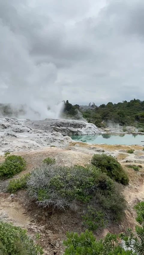 Hot water spring and geyser in Rotorua Vidéo 344123582