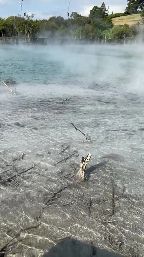 Hot water spring in Rotorua Vidéo 344123538