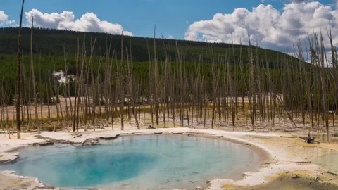 Hot Water Spring in Yellowstone Video stock 196548472