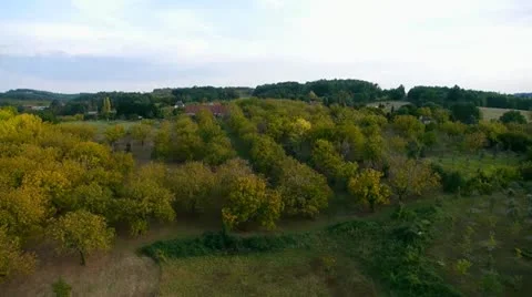 Hotair9 Video stock 10969710