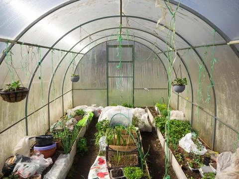 Hotbed from the inside with plants and instruments Stock Photos