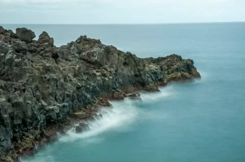 Hotbeds of lanzarote Stock Photos