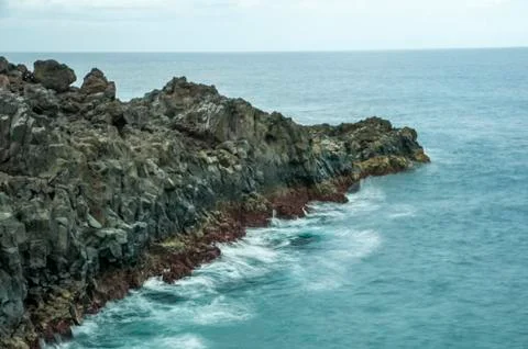 Hotbeds of lanzarote Stock Photos