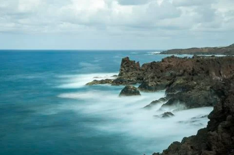 Hotbeds of lanzarote Stock Photos