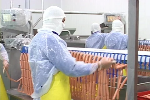 Hotdog Production Stock Footage 129112