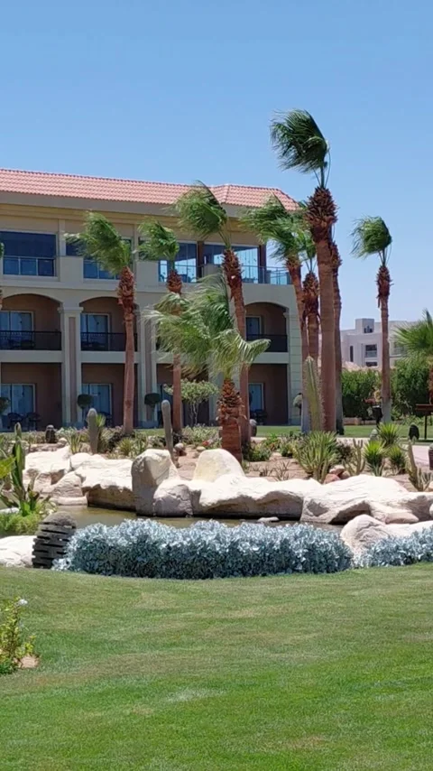 Hotel building and palm trees with rock garden in Sahl Hasheesh Egypt. Stock Footage 337533163