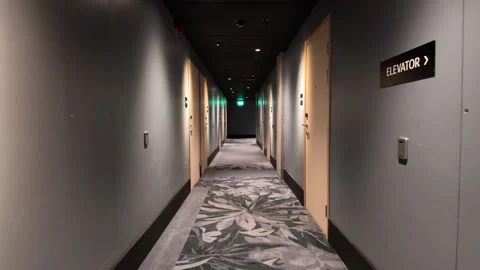 Hotel Corridor with Patterned Carpet and Warm Lighting in Gothenburg Stock Footage 347680237