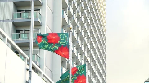 Hotel flags blowing wind Stock Footage 104686347