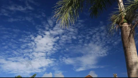 HOTEL Vidéo 1129096