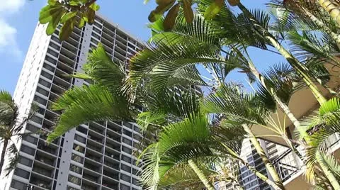 Hotel Stock Footage 8993083