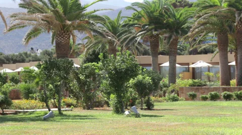 Hotel garden Video stock 36939055