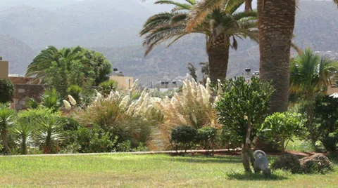 Hotel garden in windy Stock Footage 37280758