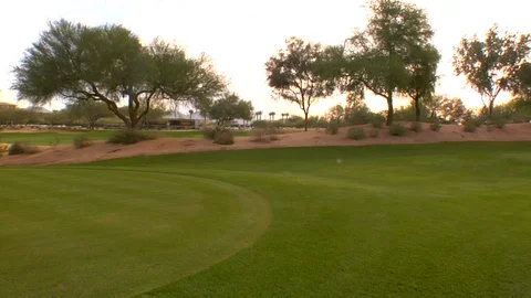 Hotel golf course trees Video stock 125278319