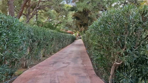 A hotel with green spaces Stock Footage 294676261