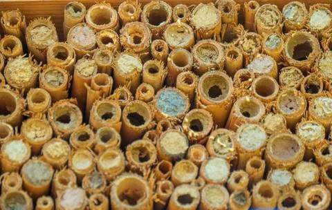 Hotel for insects close-up Stock Photos