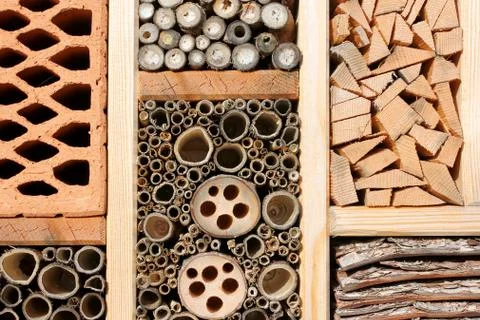 Hotel for insects Stock Photos