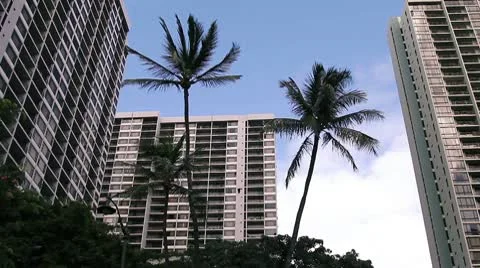 Hotel palm Stock Footage 8993097