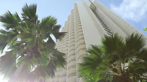 Hotel palm Stock Footage 8993146