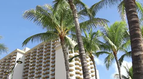 Hotel palm Stock Footage 8993220