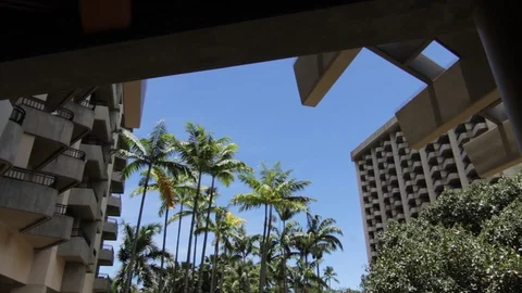 Hotel In Paradise Stock Footage 104790074