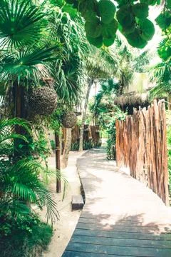 Hotel path to the beach in Tulum, Mexico Stock Photos
