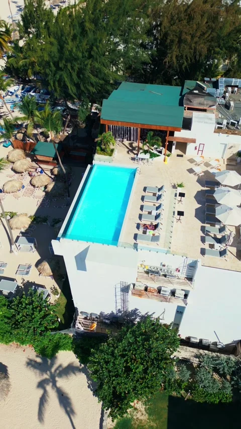 A hotel with a rooftop pool on the oceanfront. Bright sunny day in Punta Cana Video stock 309812714