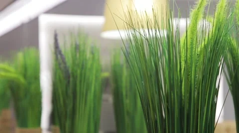 Hotel Room Stock Footage 55617084