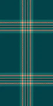 Hotel vector seamless texture, curve fabric check plaid. Cultural backgroun.. Illustrazione stock