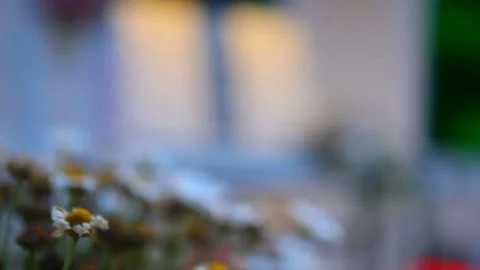 Hotel wedding table white focus on. jimmijib shoot Stock Footage 134352456