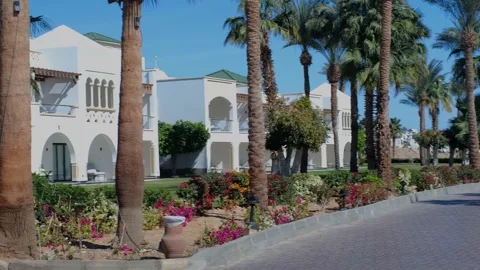 Hotel in white. View of the grounds, pool and tropical palm trees 스톡 동영상 240199475
