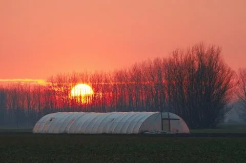 Hothouse at Sunset Stock Photos