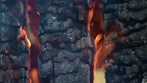 The hottest background. A fire blaze, heat and burning wood close-up. Stock Footage 227925582