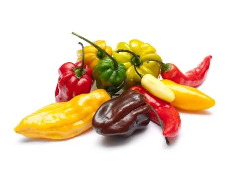 Hottest peppers Stock Photos