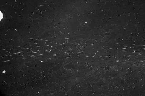 Houcima beach and waves and rocks Stock Photos