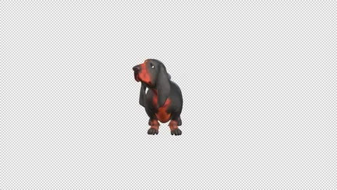 Hound Dog cutefail Stock Footage 321816477
