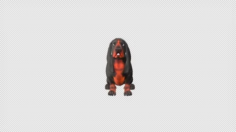Hound Dog idle Stock Footage 321641512
