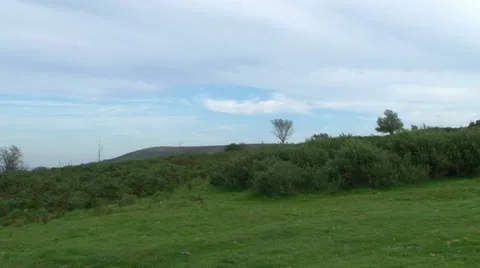 Hound Tor Stock Footage 18026743