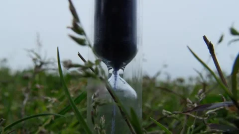Hourglass in the green grass Stock Footage 307499209