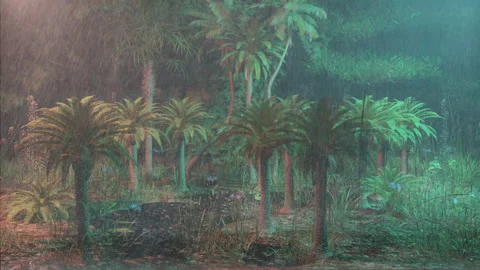 Hours of rain at night falling by the wild coconuts, Rainy night scenery Video stock 195057305