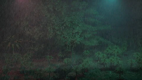 Hours of rain at night falling by the wild coconuts Video stock 195151367