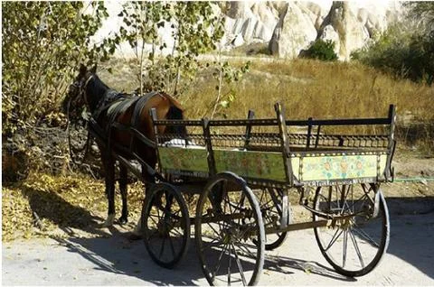 Hourse cart Foto stock