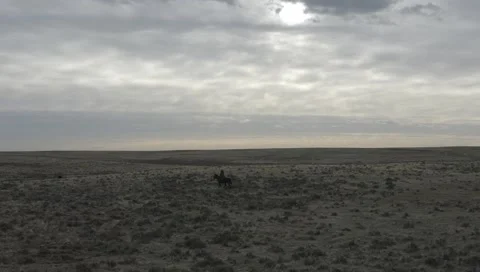 Hourse riding in Wyoming Stock Footage 235461024