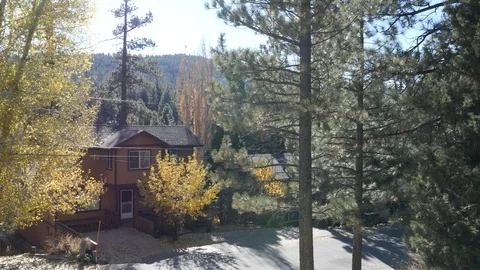 House among the forest Stock Footage 119997585