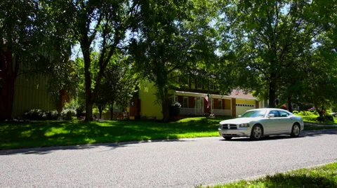 House and Flag Video stock 65259170