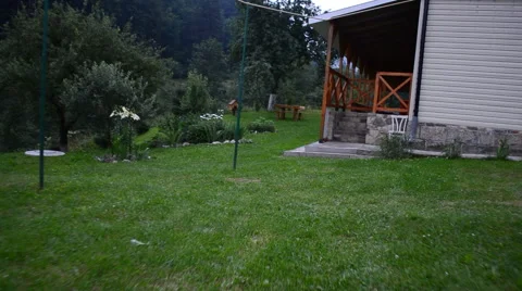 House and grass Stock-Footage 53775644