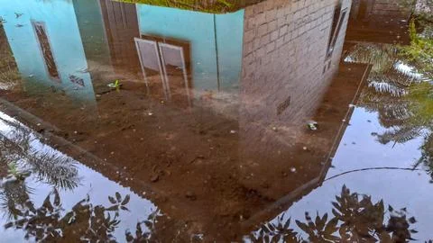 House and Palm Trees Reflected in Muddy Water Puddle Stock Photos